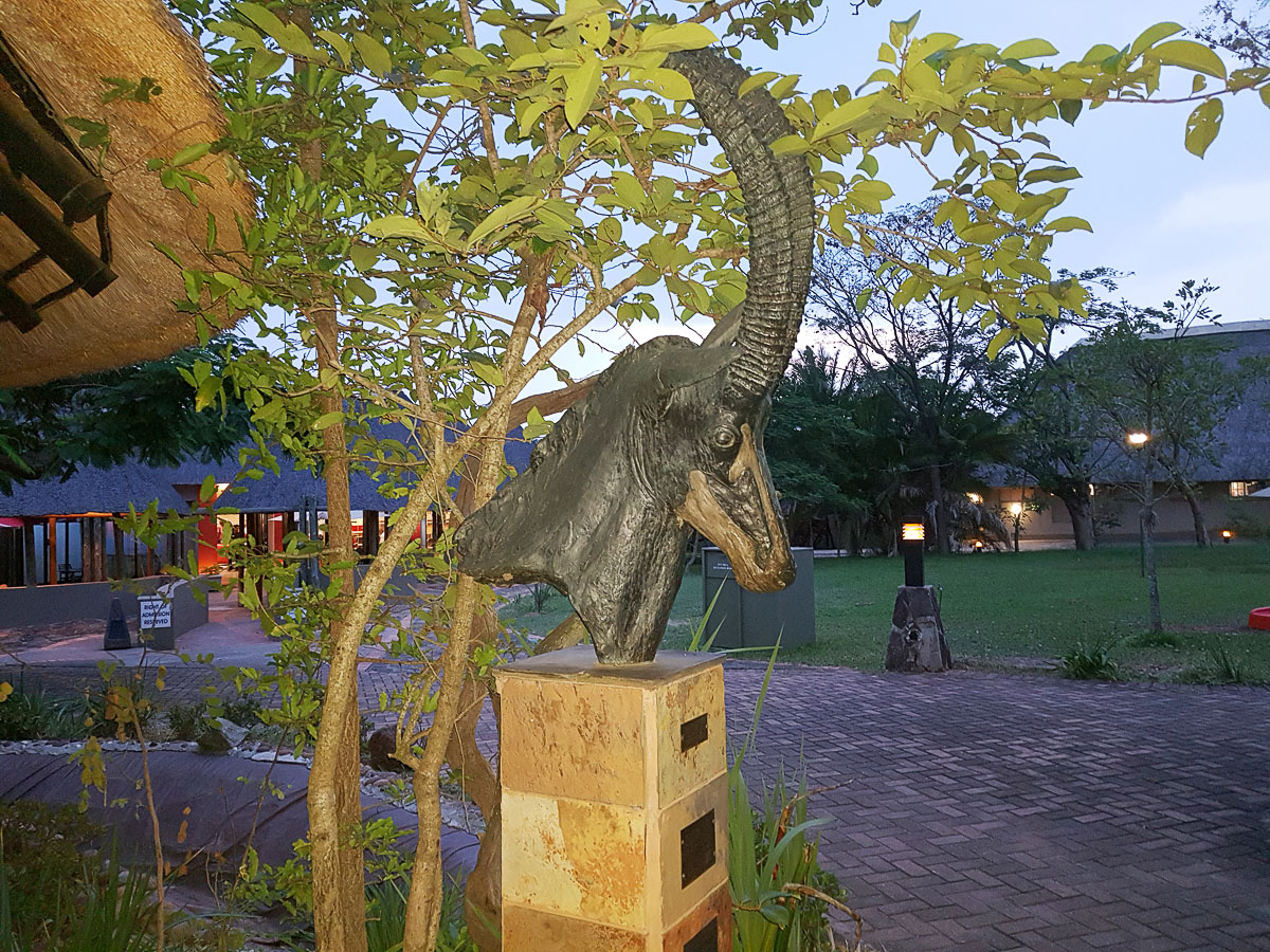 Pretoriuskop Sable with the Restaurant and shop in the background Pretoriuskop Sable with the Restaurant and shop in the background