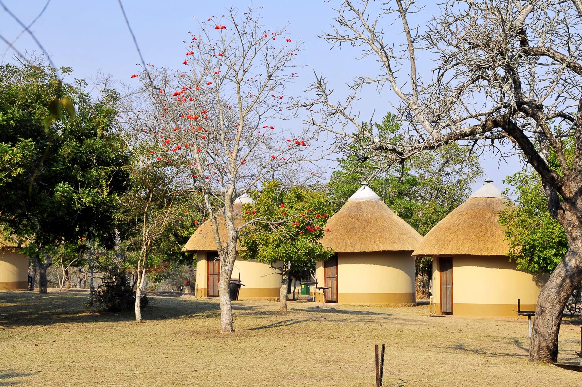 Pretoriuskop huts