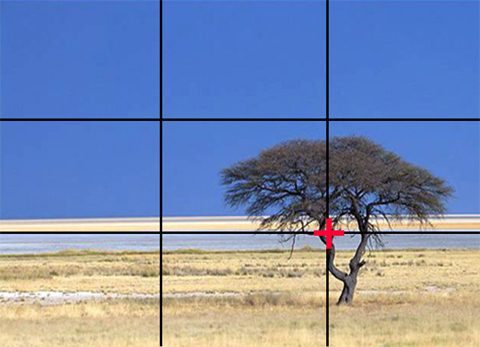 Salvadora waterhole in Etosha Salvadora waterhole in Etosha