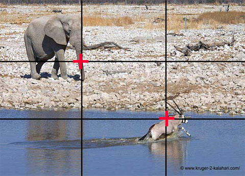 elephant and oryx at Okaukuejo waterhole elephant and oryx at Okaukuejo waterhole