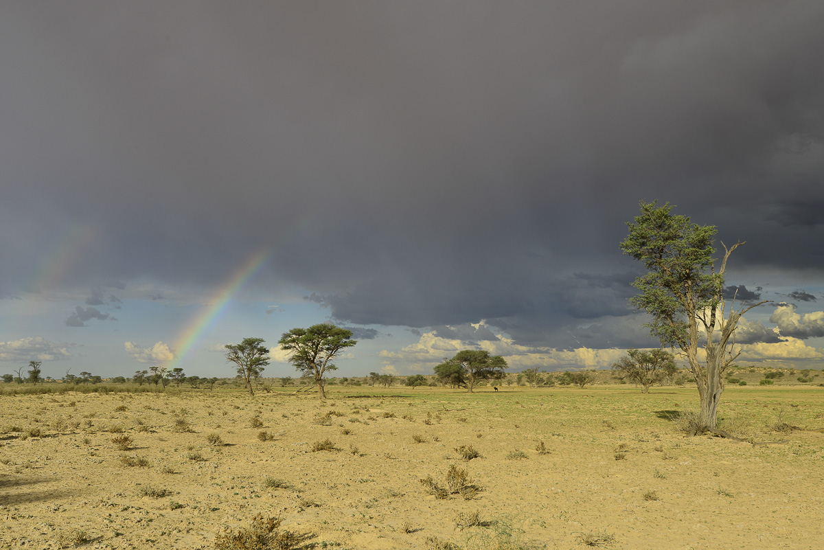 Rainbow over the Kalahari