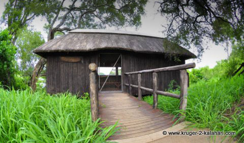 Ratel Pan Hide Kruger Park Ratel Pan Hide Kruger Park