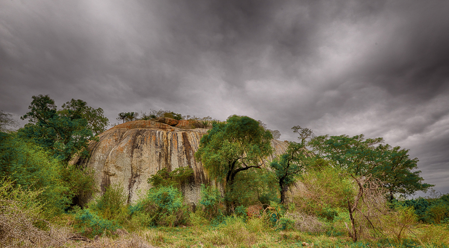 Renosterkoppies on S114 near Skukuza in the Kruger National Park