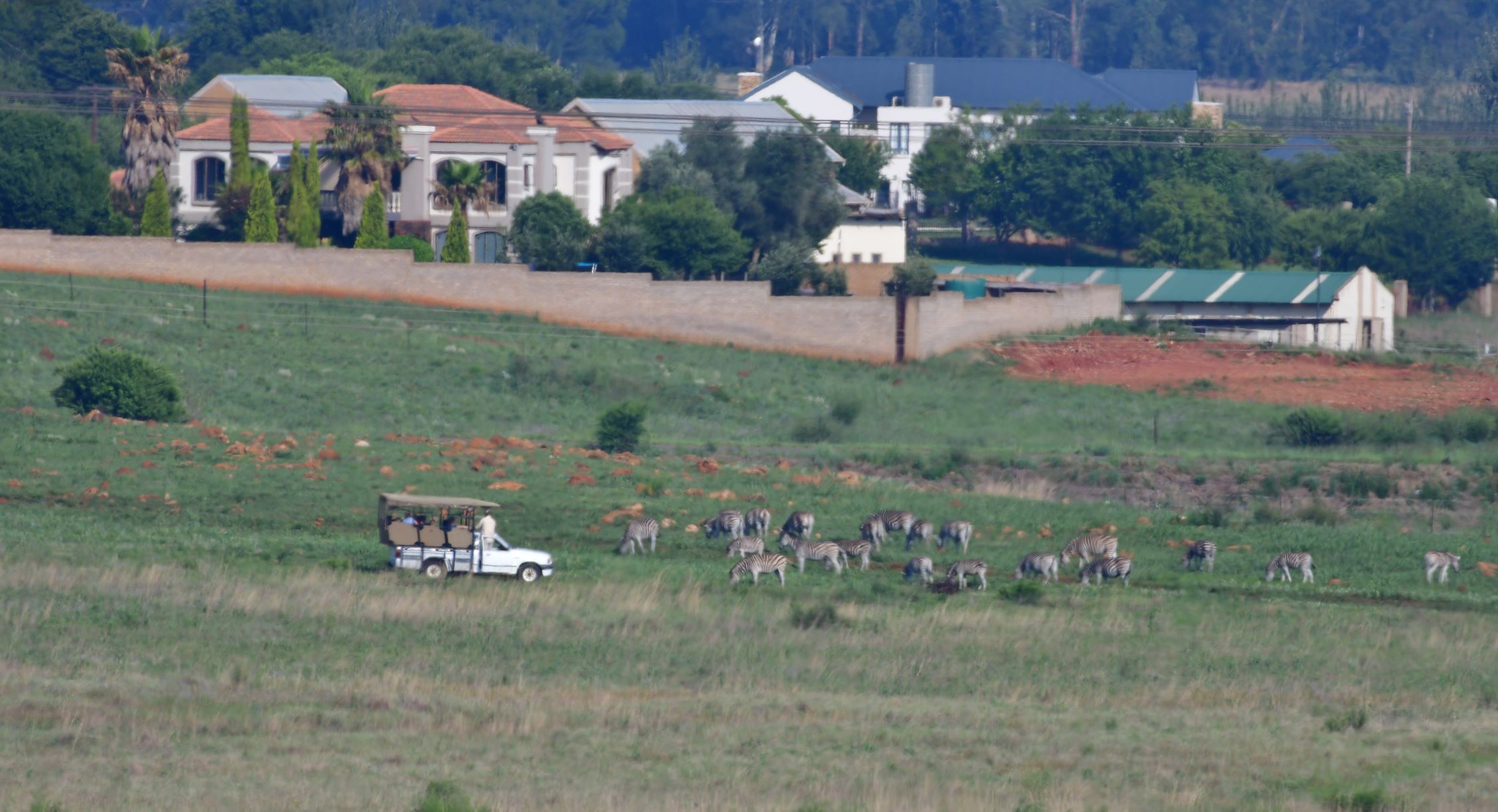 Rietvlei game drive Rietvlei game drive