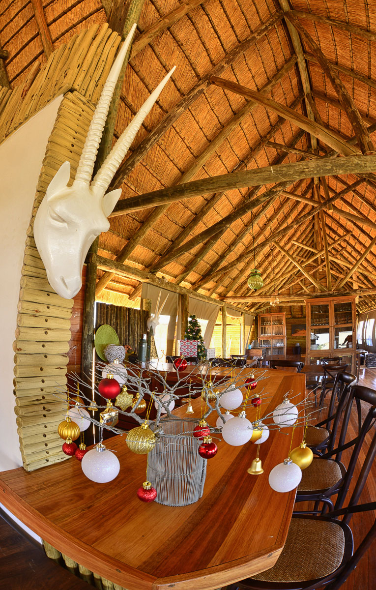 Rooiputs bar at christmas