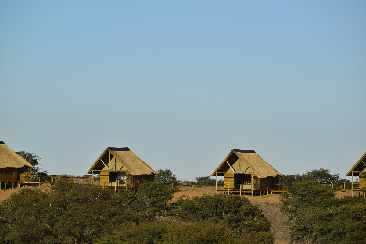 The unfenced Rooiputs Luxury Lodge