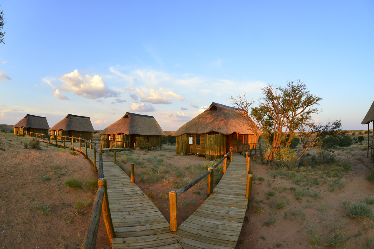 Rooiputs wooden walkways to chalets