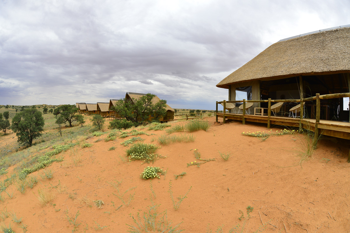 Rooiputs Luxury Lodge