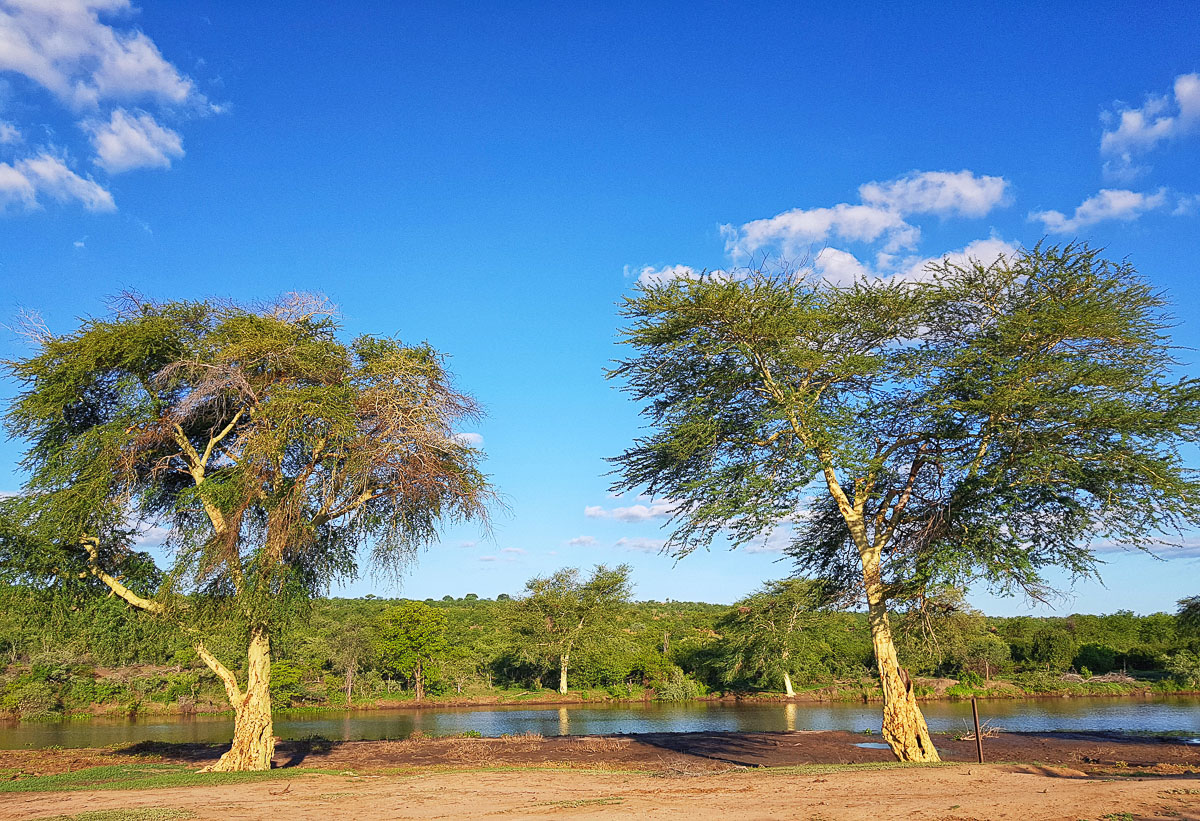 View along the S62 of the Letaba River