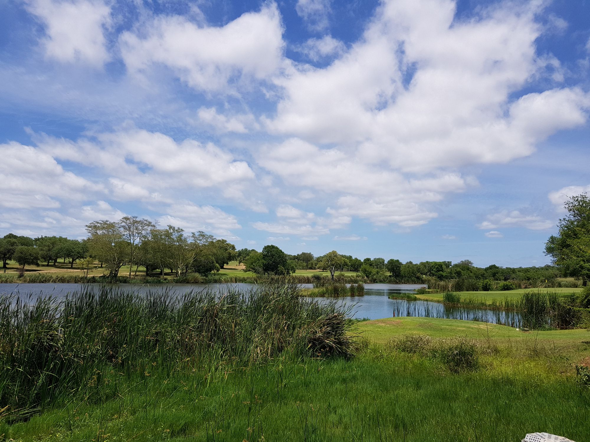 View of the Skukuza golf course