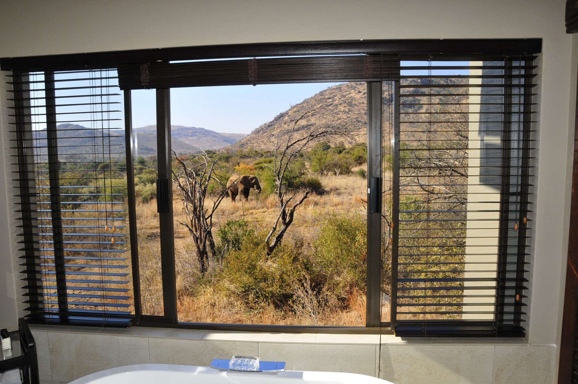 Standard bathroom at Shepherds Tree Lodge