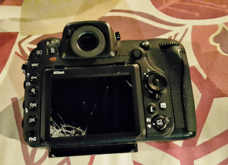 Nikon servicing deals