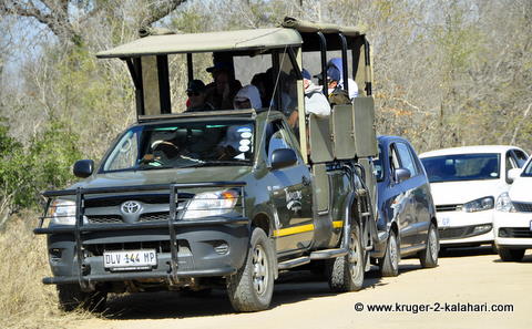 Game viewing vehicle Game viewing vehicle