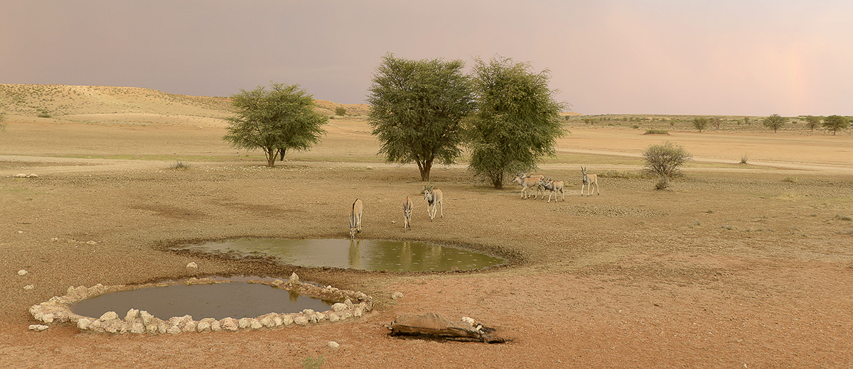 Rainbow and eland at Samevloeiing waterhole