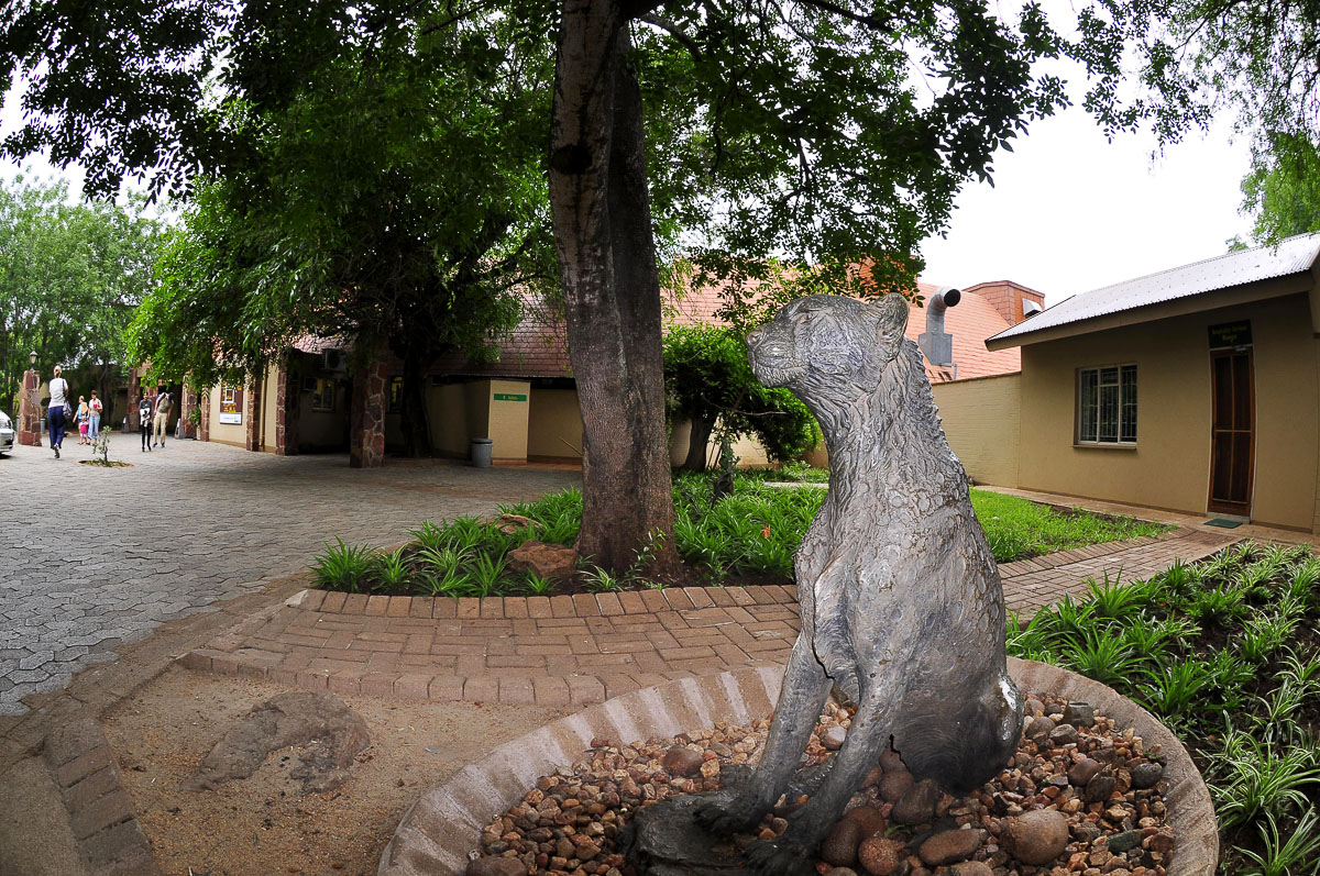 Main Entrance to Satara rest camps reception area