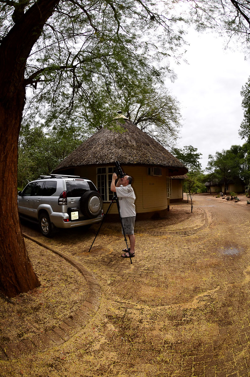 Mario photographing the owl