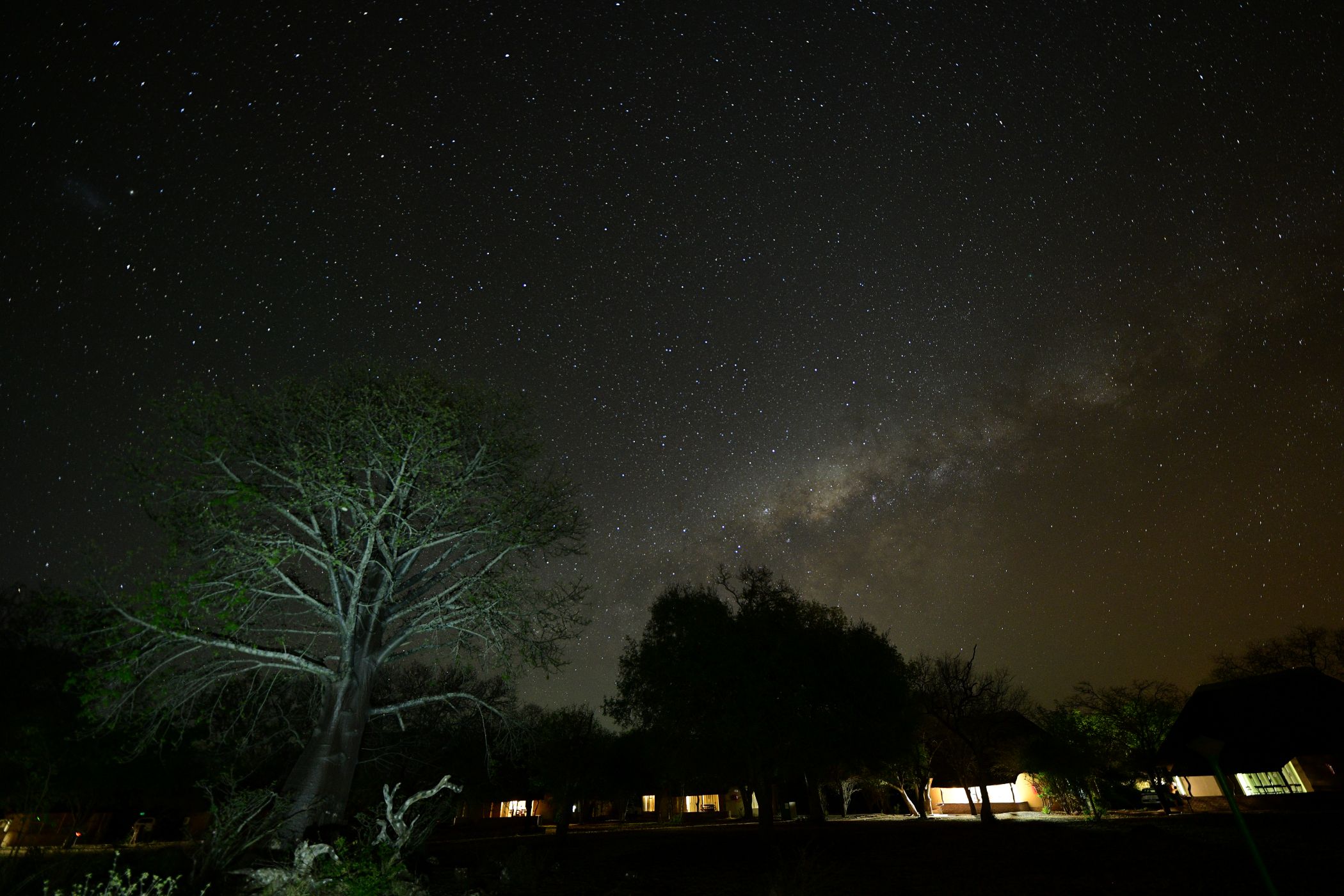 Satara Baobab tree with milkyway and bungalows in the back ground