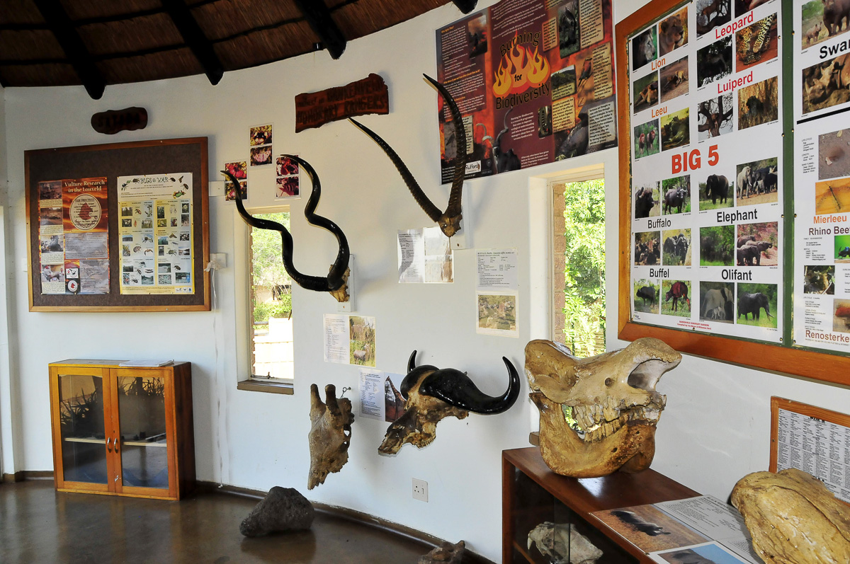 Inside the information centre at Satara