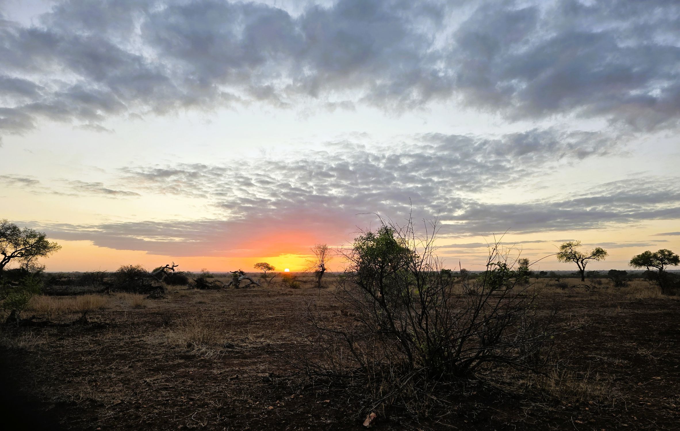 Sunrise at Satara camp in the Kruger