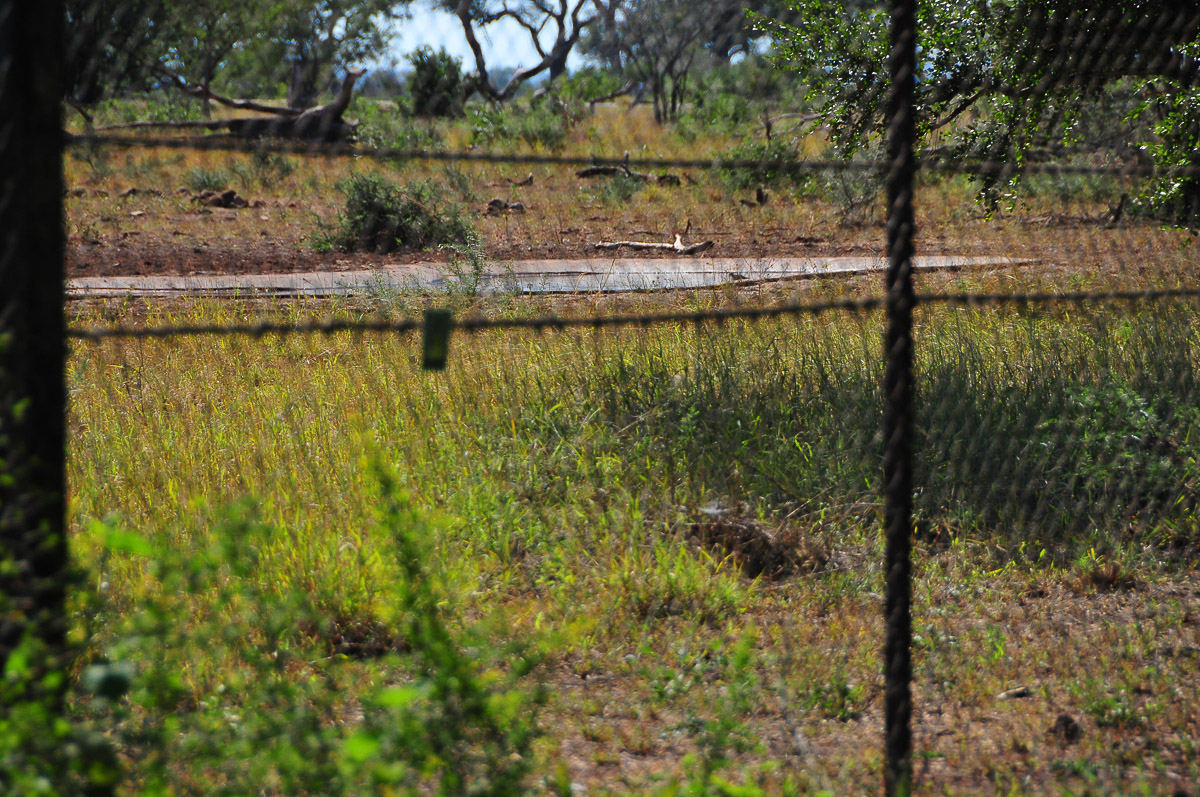 Flood-lit waterhole outside Satara camp