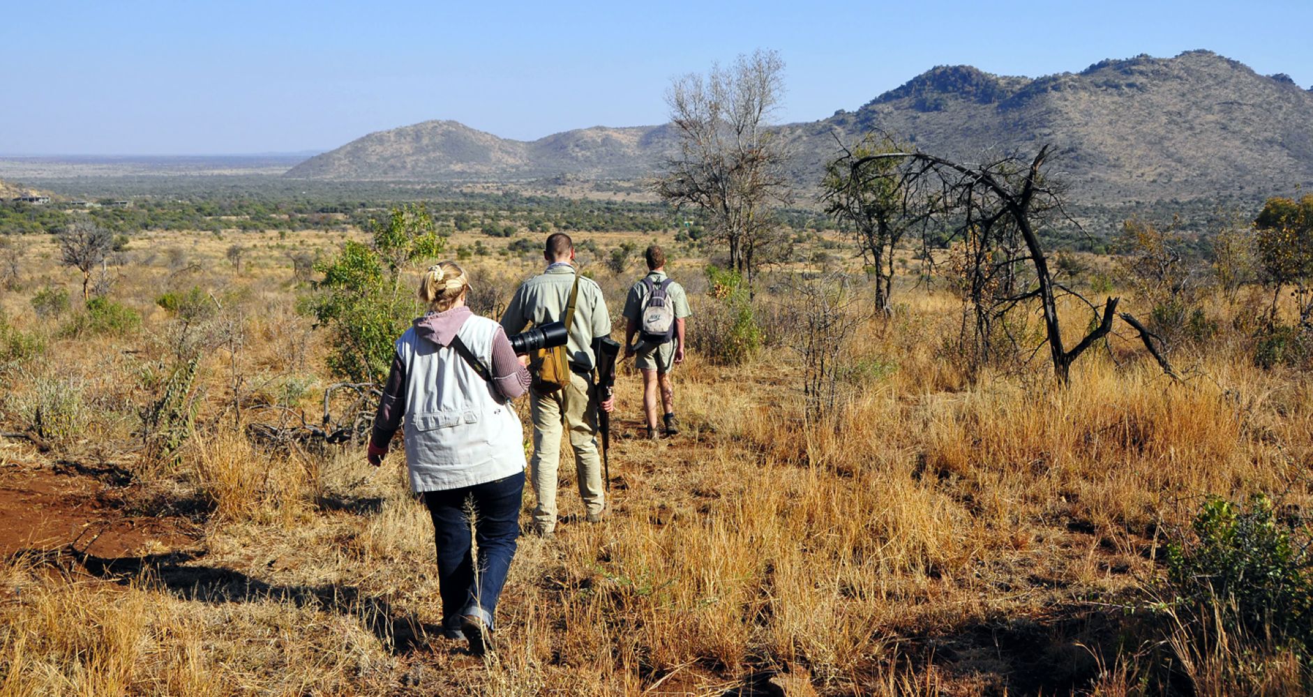 Guided game walk with Shepherds Tree