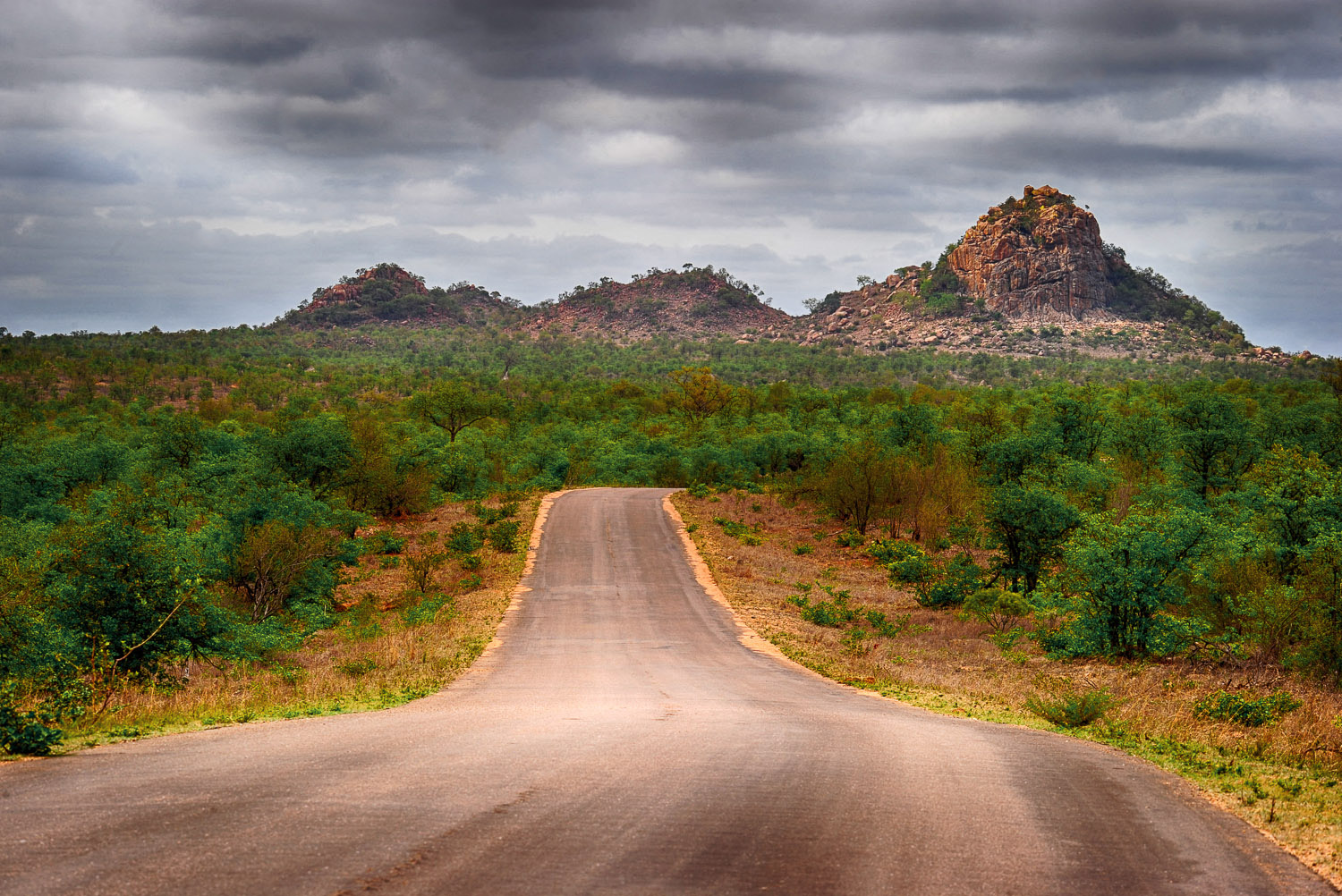 Shikumbu Koppie H14 near Phalaborwa in the Kruger National Park