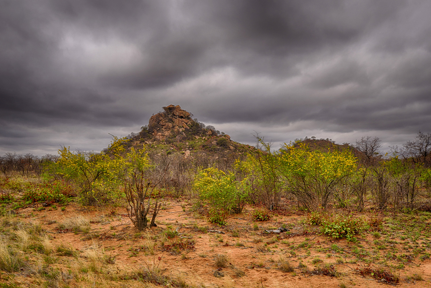 Shikumbu Koppie image taken on a 4x4 self drive near Phalaborwa in the Kruger National Park