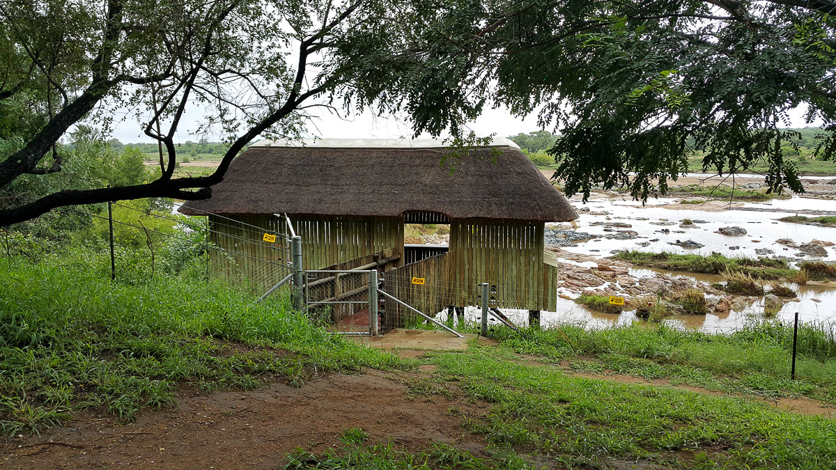 Shimuwini hide overlooking the Letaba River