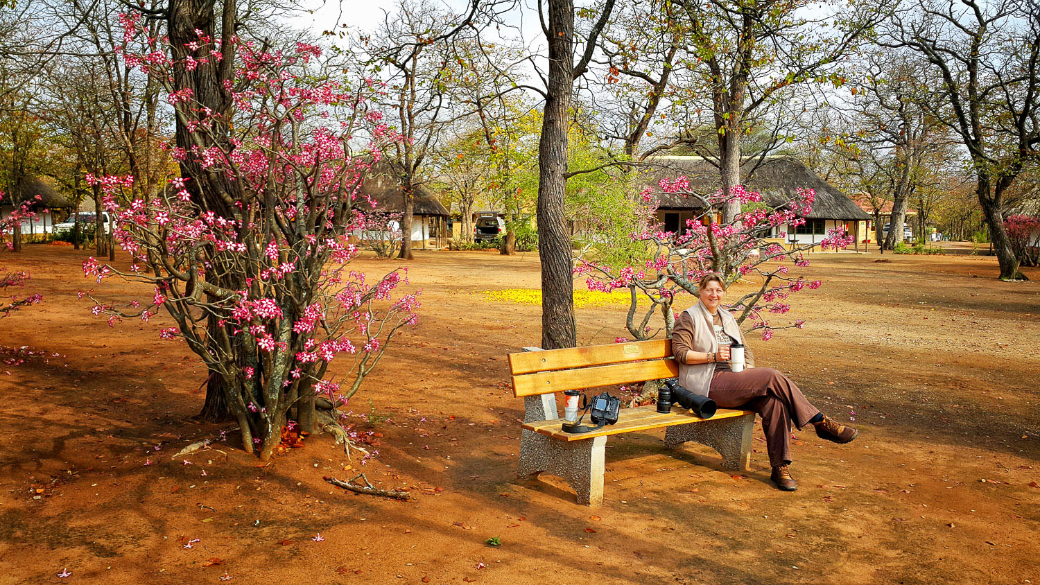Shingwedzi coffee in the park