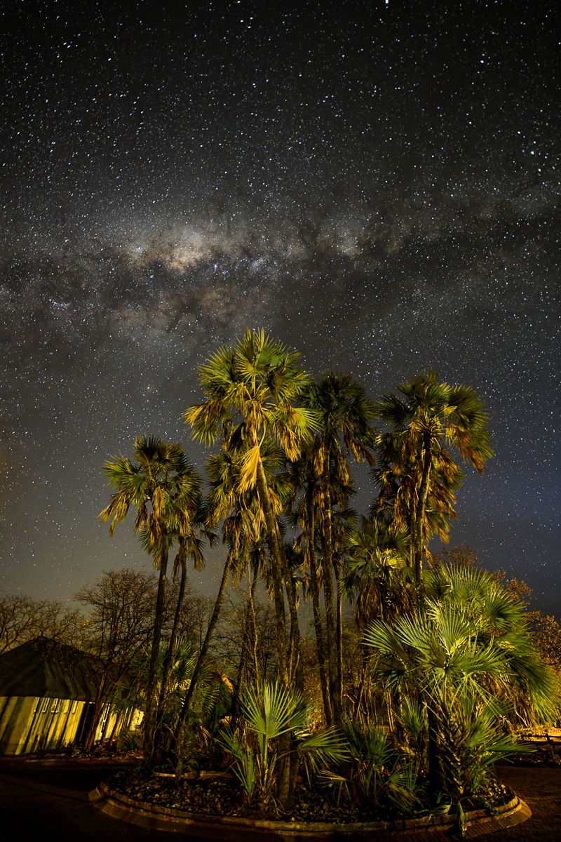 Milky way above palm tree in Shingwedzi camp Milky way above palm tree in Shingwedzi camp