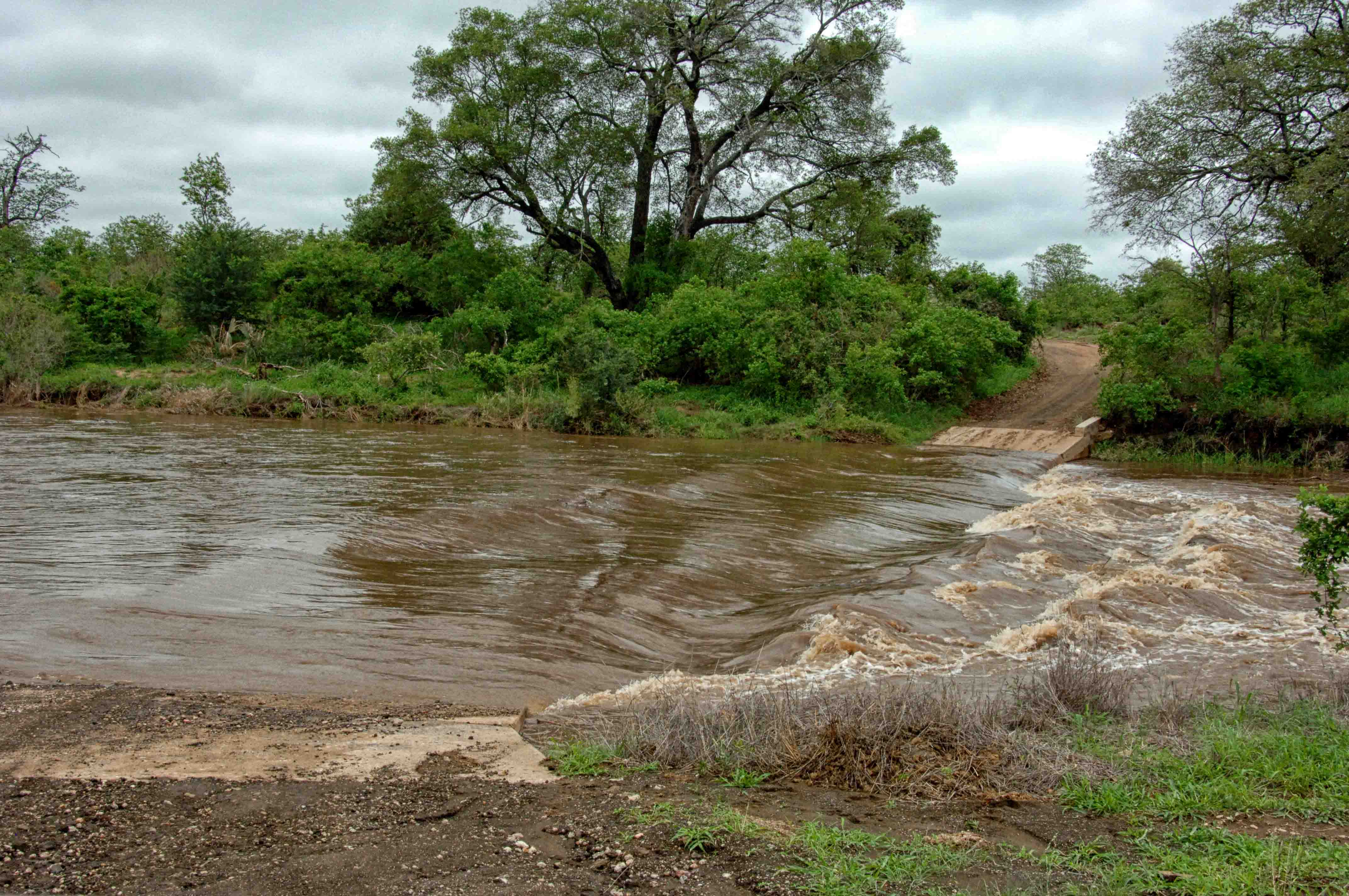 Shingwedzi River flash flood near Bateleur