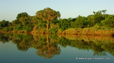 Shingwedzi River near Bateleur bushcamp