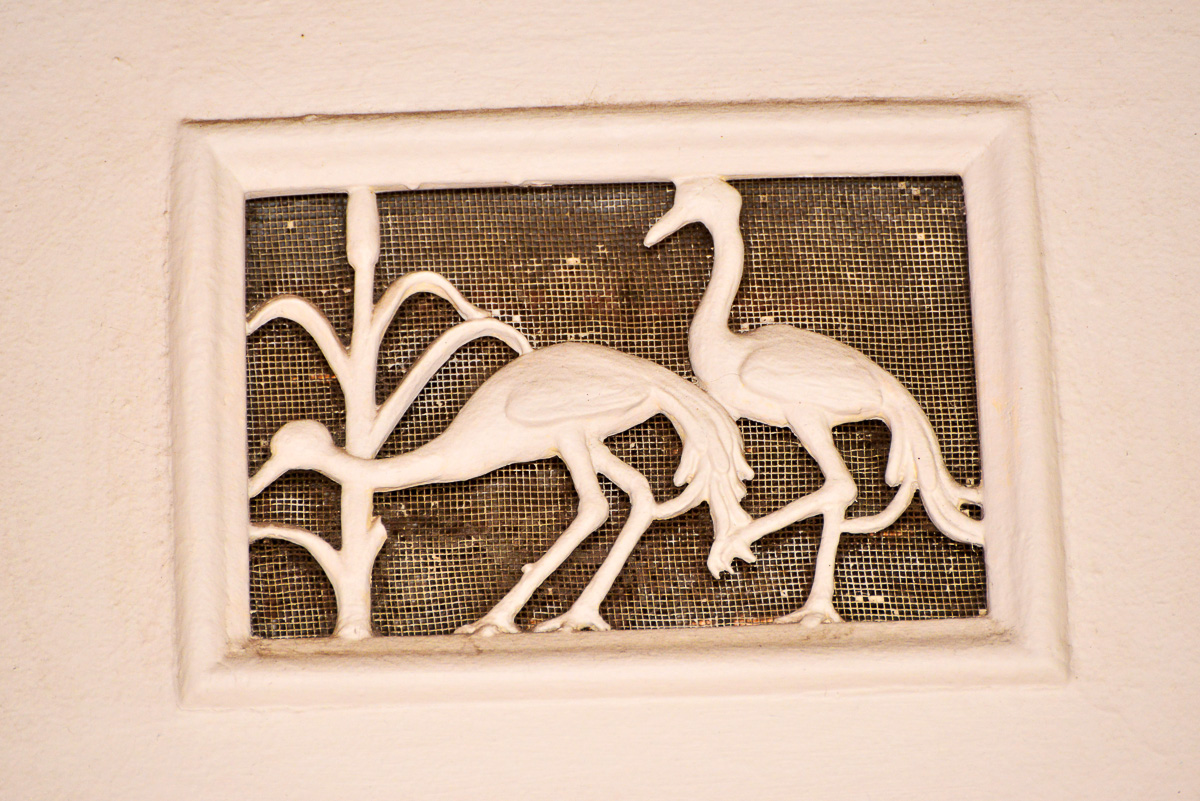 Shingwedzi blue cranes