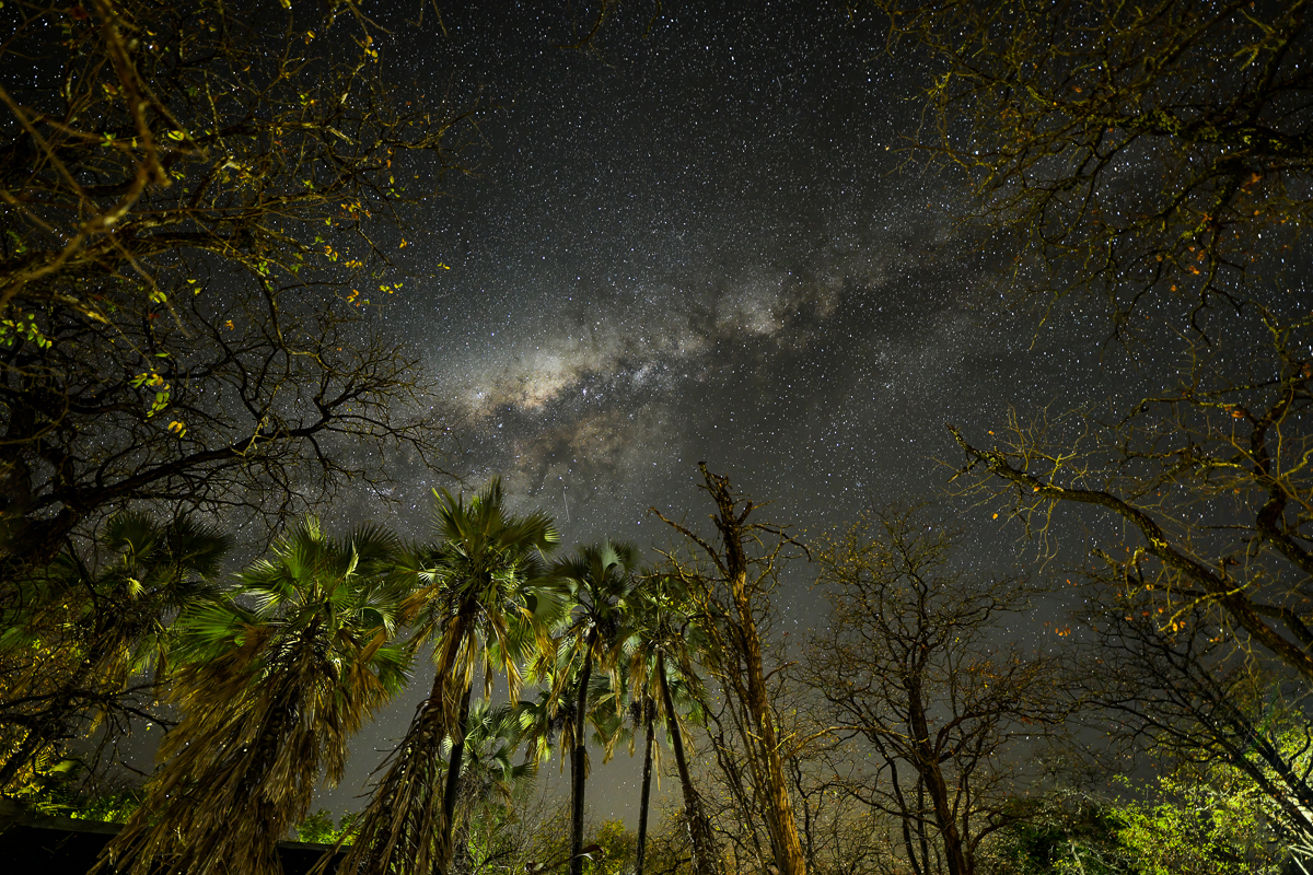 milky way directly overhead at Shingwedzi rest camp milky way directly overhead at Shingwedzi rest camp