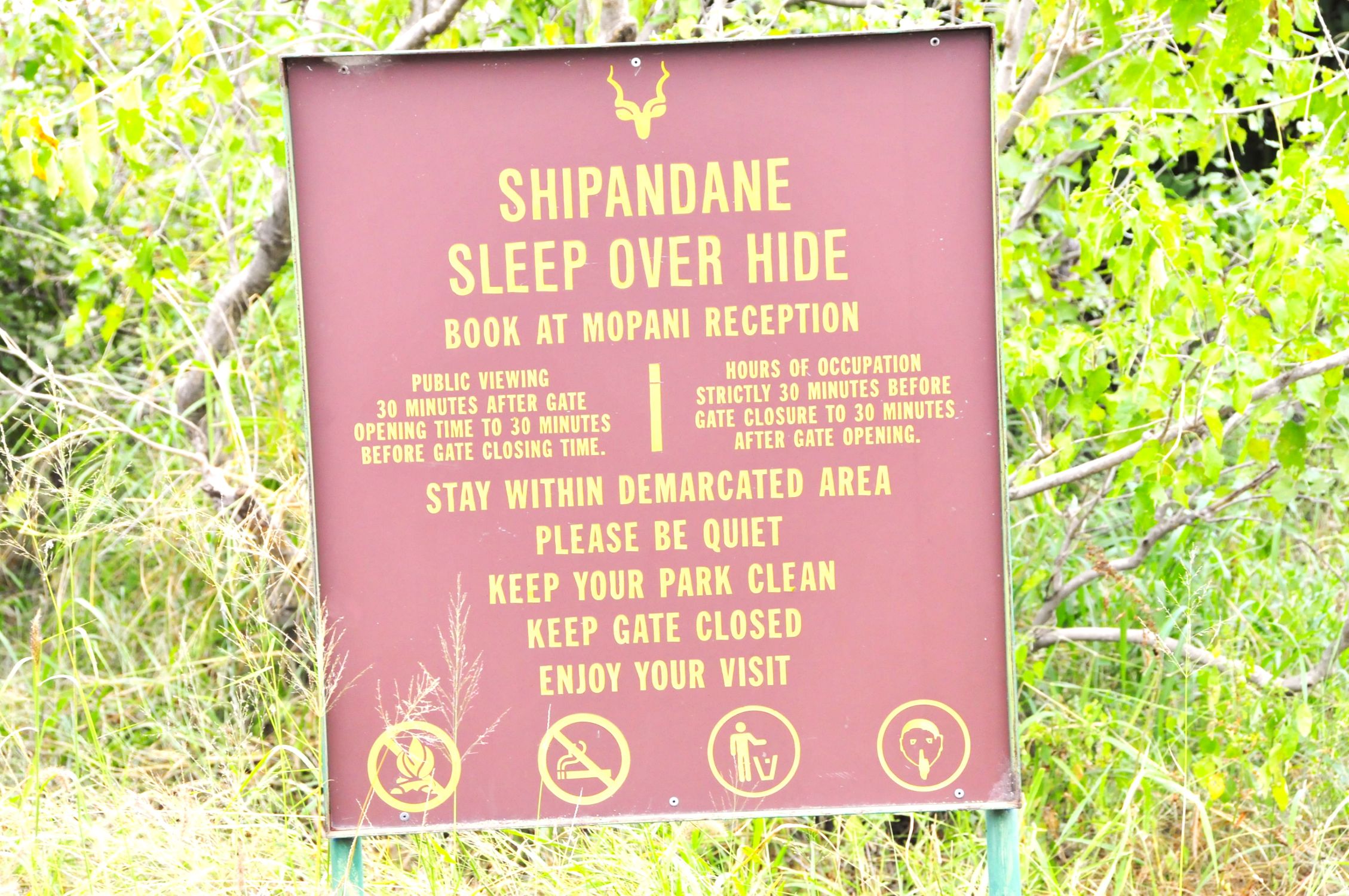 Shipandane sleepout hide in Kruger