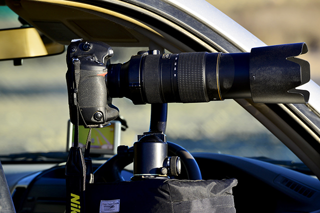 Nikon 80-400mm Review - 9 days in the Kgalagadi Park with