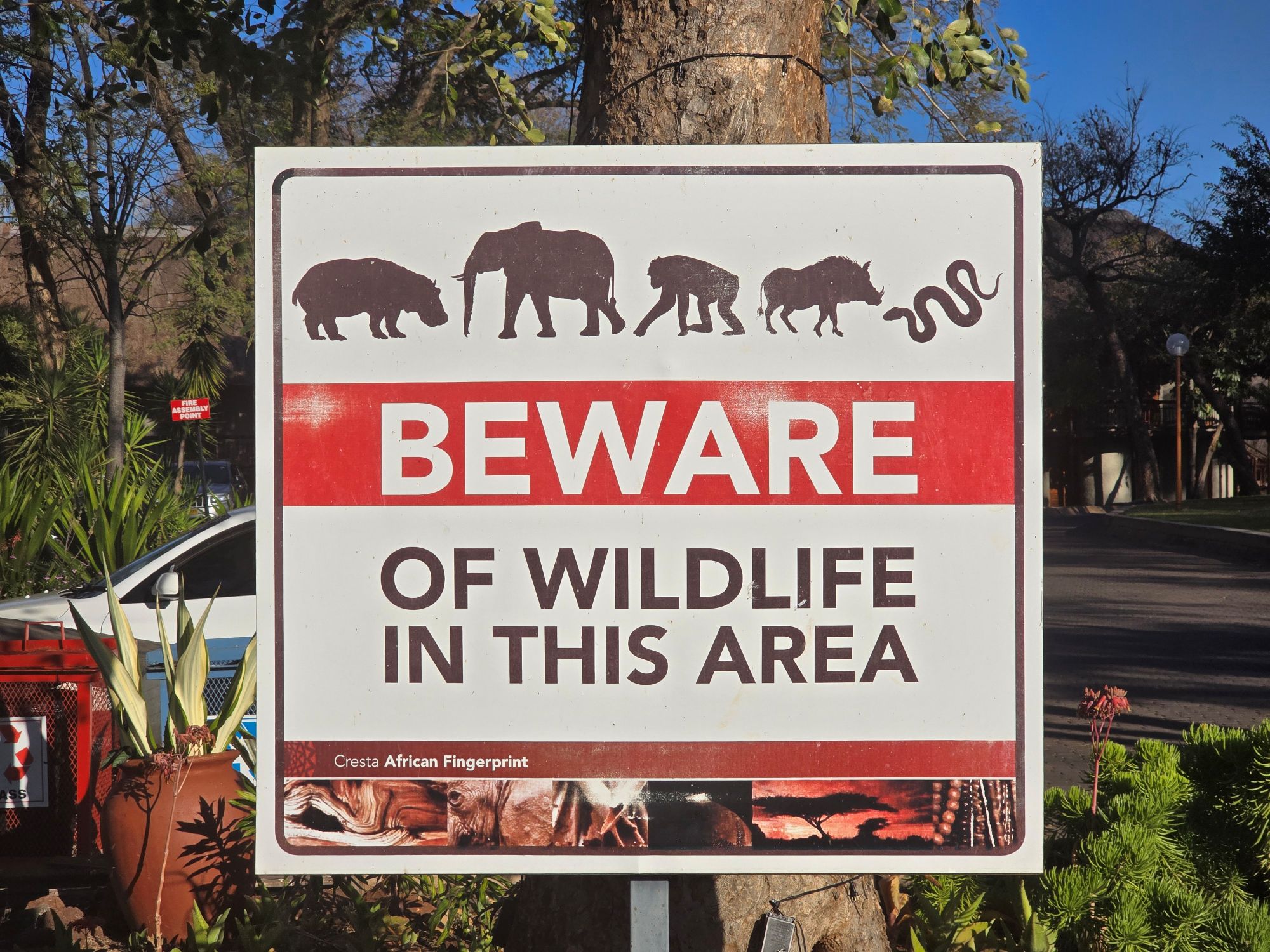 Beware of the animals sign near the jetty at Cresta Mowana Lodge