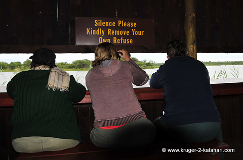 Inside bird hide near Mopani camp