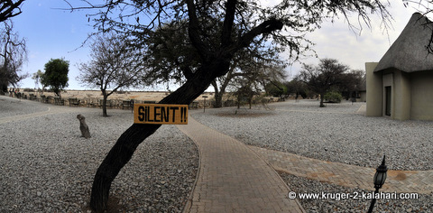 Okaukuejo waterhole area
