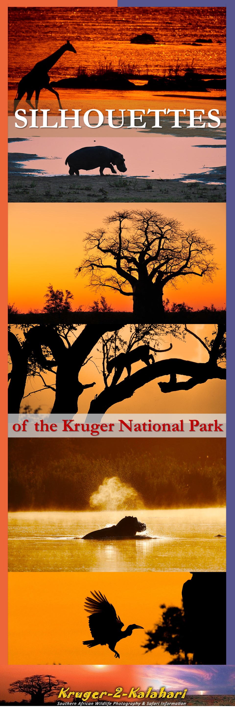 Silhouettes of the Kruger National Park