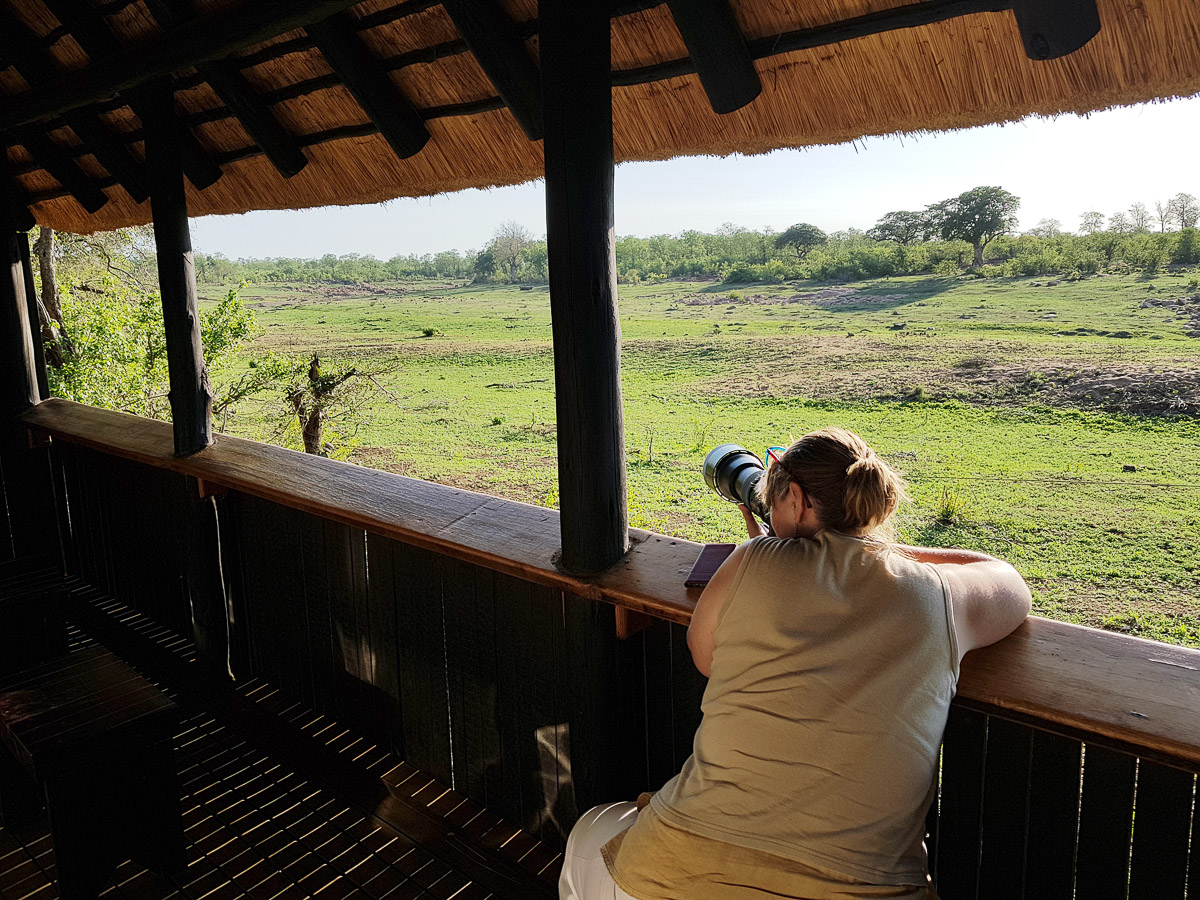 Inside Sirheni camps hide