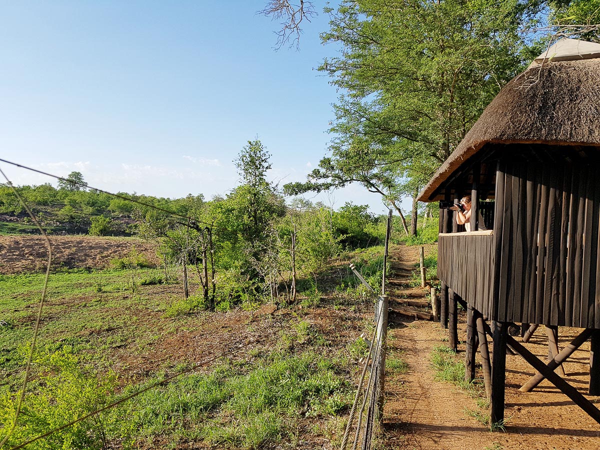 Sirheni hide overlooking the old dam