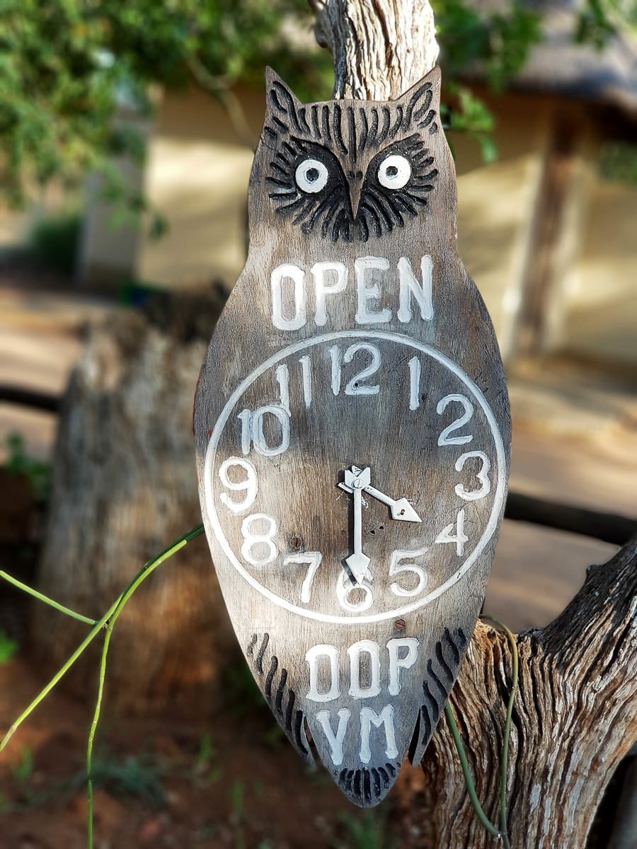 Sirheni Bushveld camp owl shows open