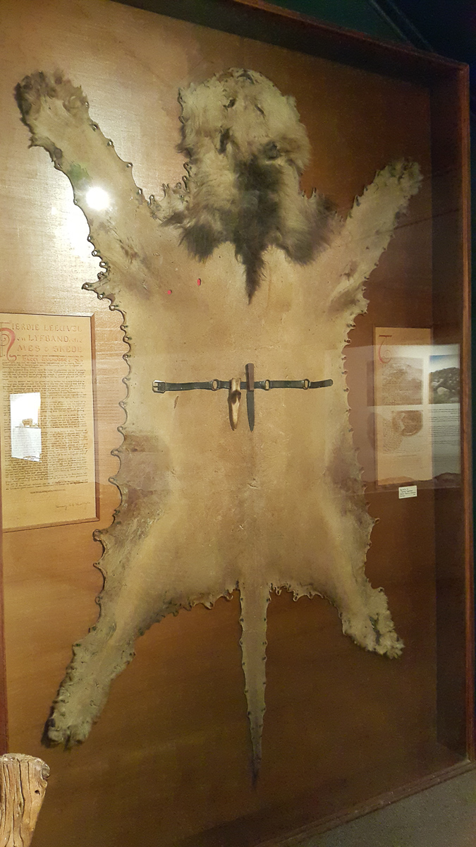 The skin of the lion Harry Wolhuter killed