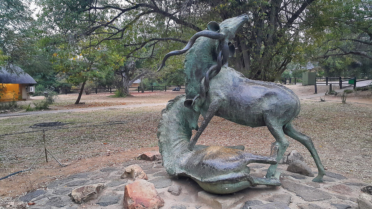 Skukuza statue of two Kudu bills fighting