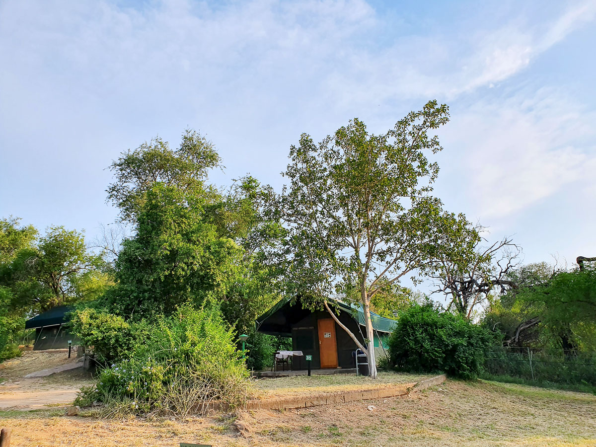 Skukuza Safari Tent number 315