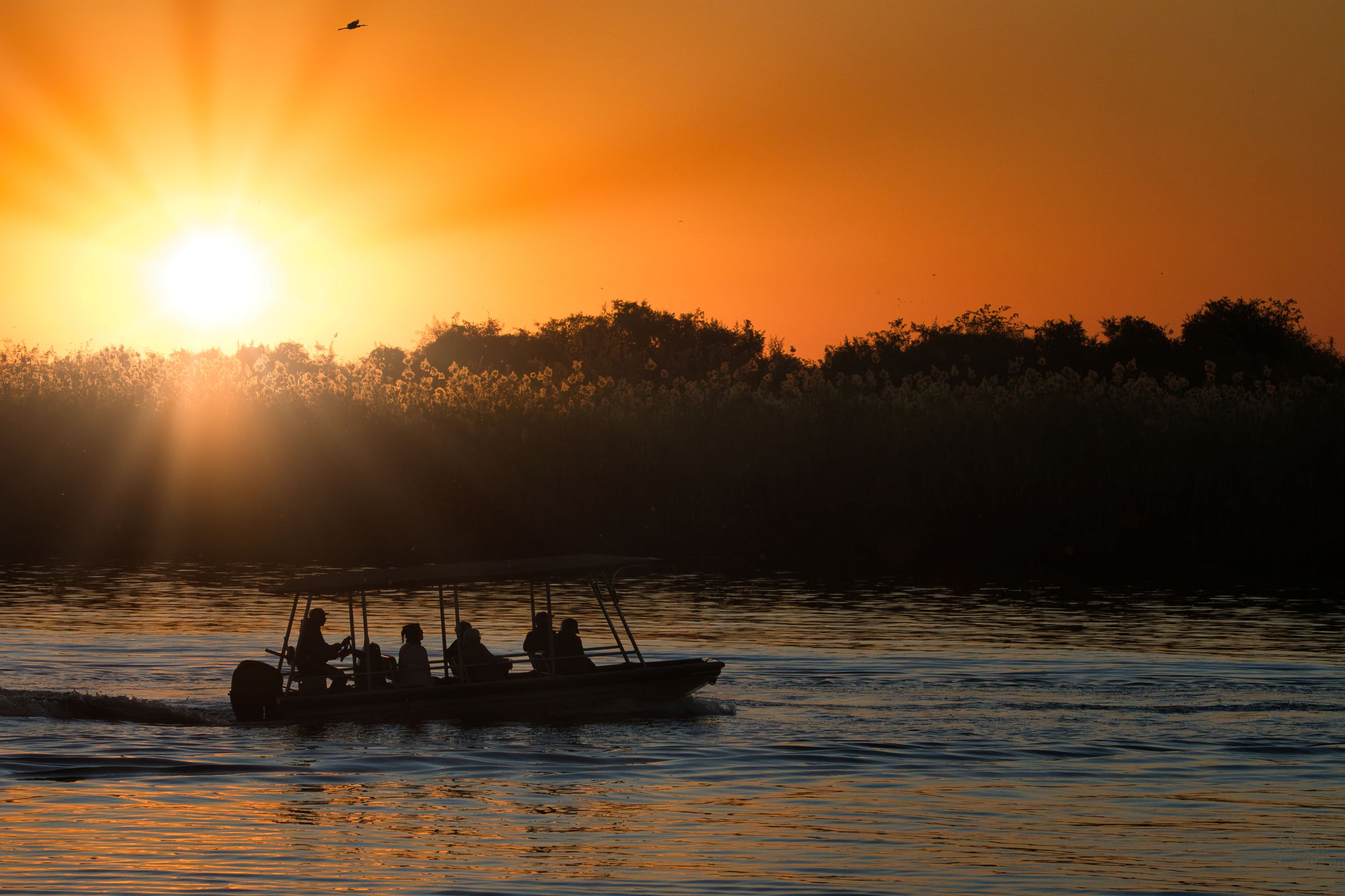 small boat at sunset on the Chobe river