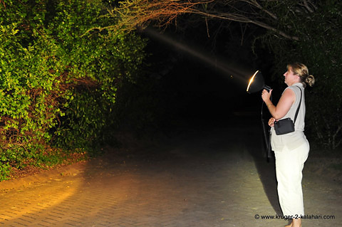 Lightforce light with small SLA battery