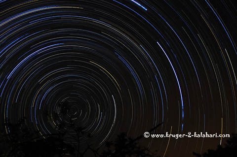 Star trail taken from Punda Maria camp Star trail taken from Punda Maria camp
