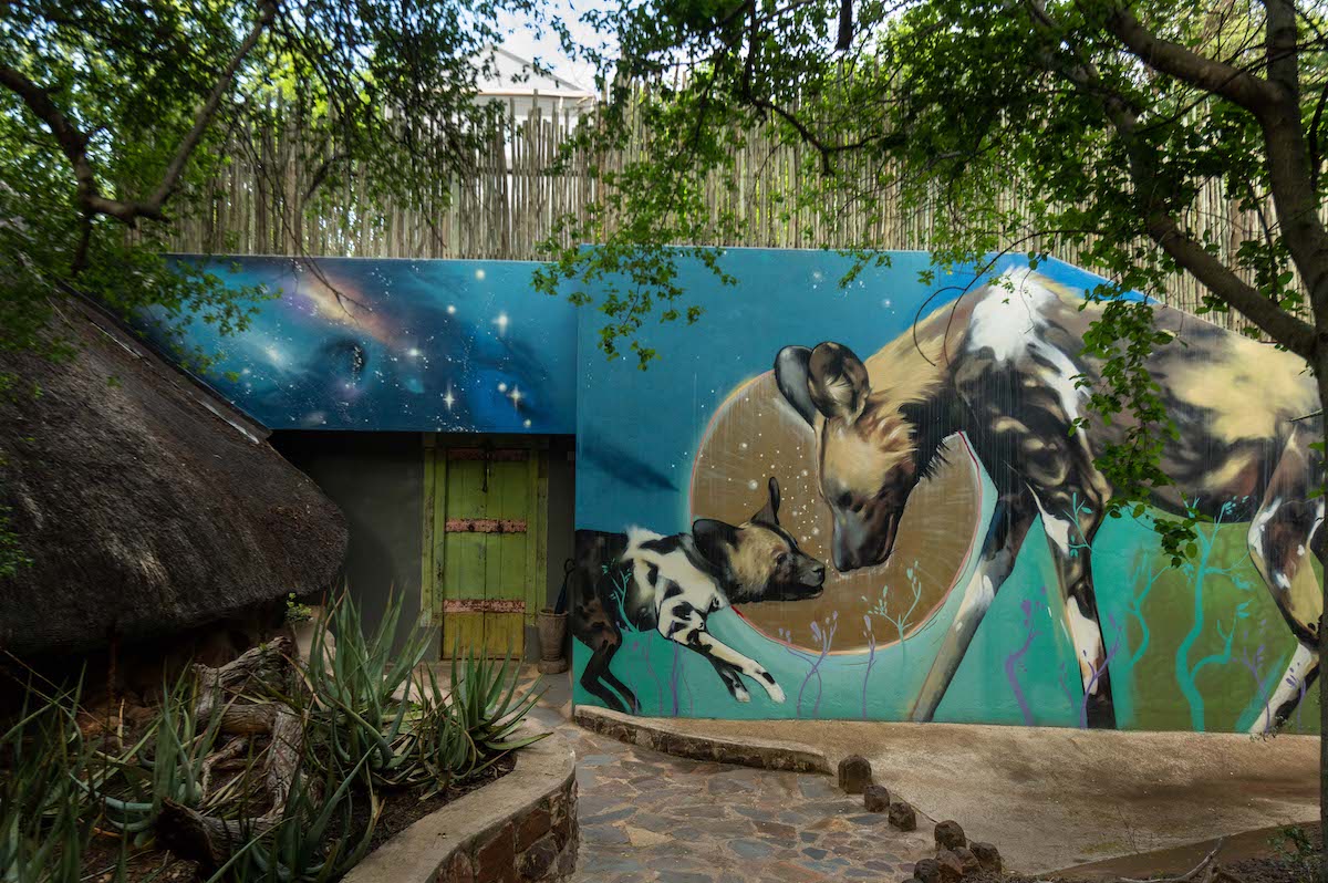 entrance to Starbed Suite at Jacis safari lodge